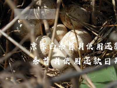 京东白条首月使用还款日期是多久-京东白条首月使用还款日期是多久啊
