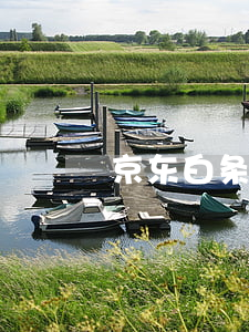 京东白条首次分期免息(京东白条分期免息券)