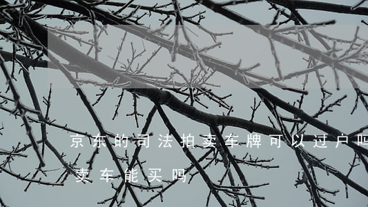 京东的司法拍卖车牌可以过户吗(京东法院拍卖车能买吗)