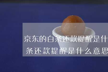 京东的白条还款提醒是什么意思-京东的白条还款提醒是什么意思啊
