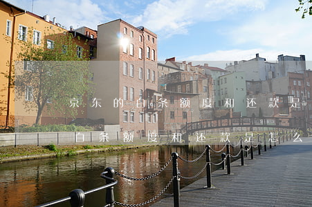 京东的白条额度和还款是怎么算的-京东的白条额度和还款是怎么算的呢