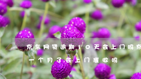 京东网贷逾期10天会上门吗(京东金融逾期一个月了会上门催收吗)