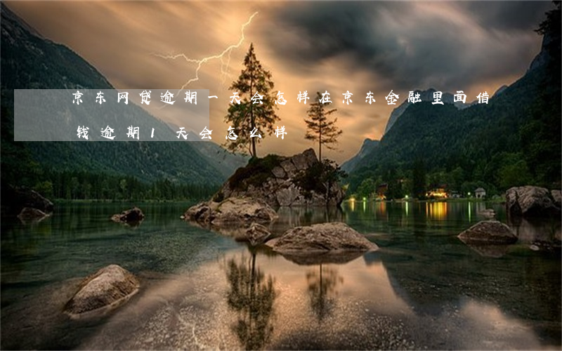 京东网贷逾期一天会怎样(在京东金融里面借钱逾期1天会怎么样)