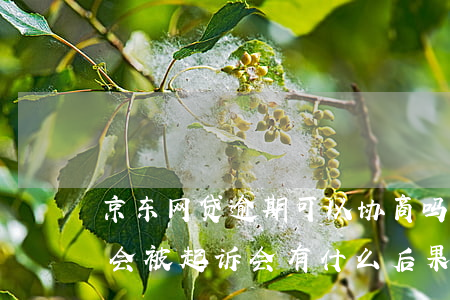 京东网贷逾期可以协商吗(京东贷款逾期多久会被起诉会有什么后果)