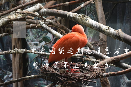 京东网贷逾期态度恶劣(京东金融网贷逾期了暂时还不上怎么办)
