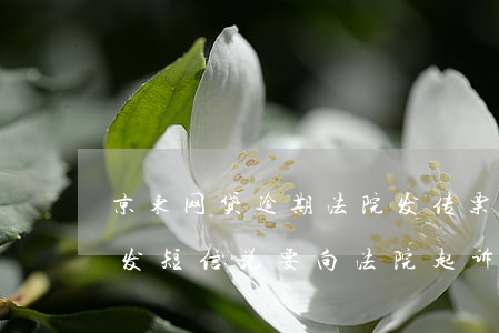 京东网贷逾期法院发传票(京东金融逾期半年发短信说要向法院起诉)