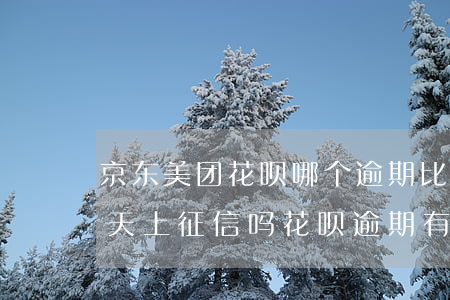 京东美团花呗哪个逾期比较严重 美团逾期几天上征信吗?花呗逾期有什么后果