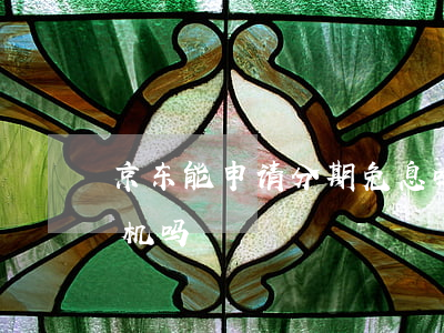 京东能申请分期免息吗(京东可以免息分期手机吗)