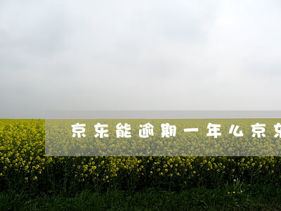 京东能逾期一年么 京东能逾期一年么