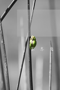 京东自营迟迟不发货多久是逾期