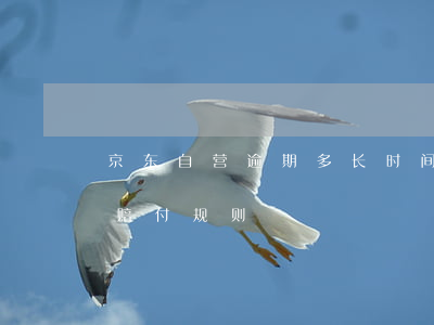 京东自营逾期多长时间是违约 京东自营超时赔付规则
