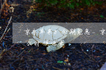 京东苹果8分期免息-京东苹果分期免息什么时候结束