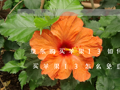 京东购买苹果13如何办理免息分期-京东买苹果13怎么免息