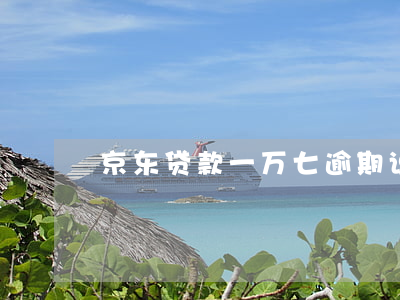 京东贷款一万七逾期说起诉我