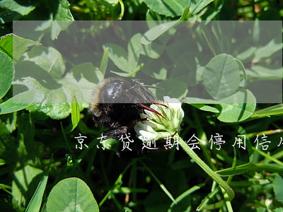 京东贷逾期会停用信用卡吗