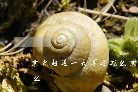 京东超过一天算逾期么（京东超过一天算逾期么）