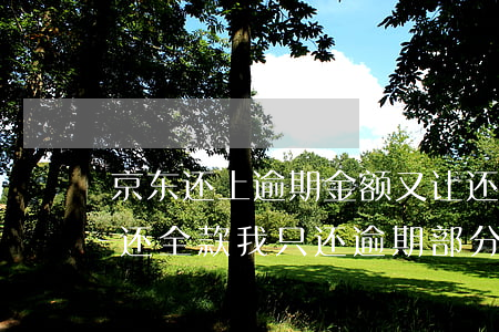 京东还上逾期金额又让还全款(京东逾期要求还全款,我只还逾期部分可以吗)