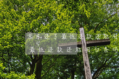 京东还了最低还款还能用白条吗-京东还了最低还款还能用白条吗安全吗
