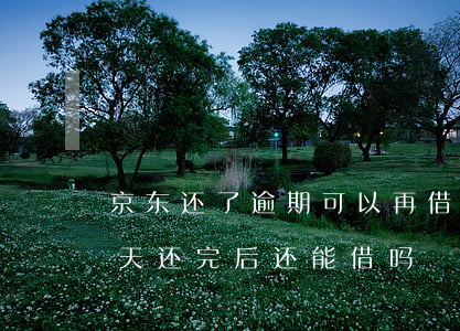 京东还了逾期可以再借吗(京东逾期过一次一天 还完后还能借吗)