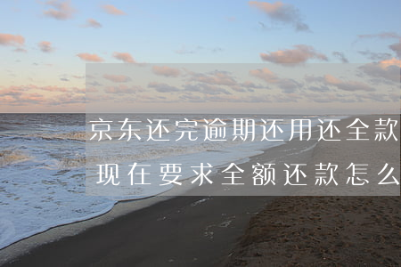 京东还完逾期还用还全款吗 京东借款逾期了,现在要求全额还款怎么解决