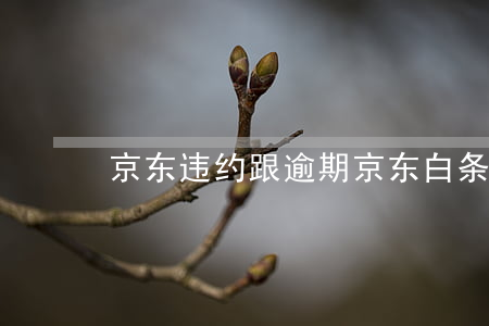 京东违约跟逾期(京东白条逾期违约怎么办)
