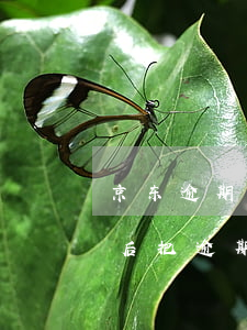 京东逾期15天全款-京东逾期60多天之后把逾期部分还完了现在要求还全款