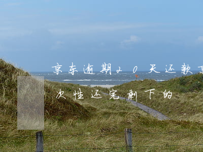 京东逾期20天还款(京东逾期30天后要一次性还完剩下的)
