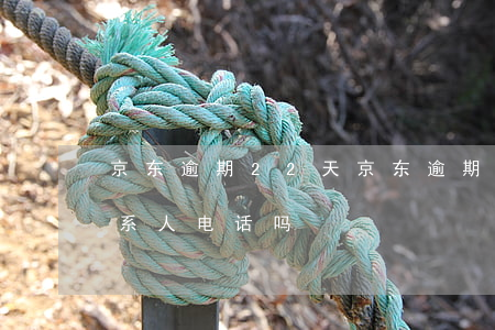 京东逾期22天(京东逾期22天会打紧急联系人电话吗)