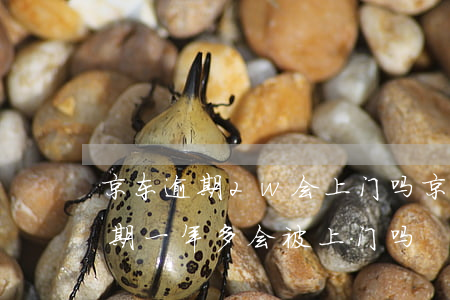 京东逾期2w会上门吗(京东金融欠两千多逾期一年多会被上门吗)