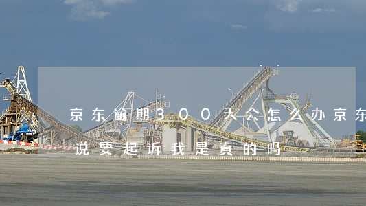 京东逾期300天会怎么办 京东逾期三十天说要起诉我 是真的吗