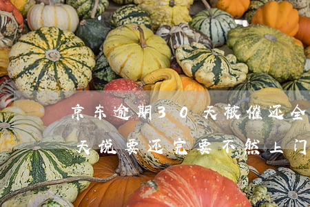 京东逾期30天被催还全款(京东逾期30多天,说要还完,要不然上门)
