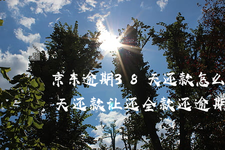 京东逾期38天还款怎么处理 京东逾期31天,还款让还全款还逾期可以吗