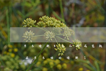 京东逾期3天已经还完款了,怎么不能借款了（在京东借的逾期了）