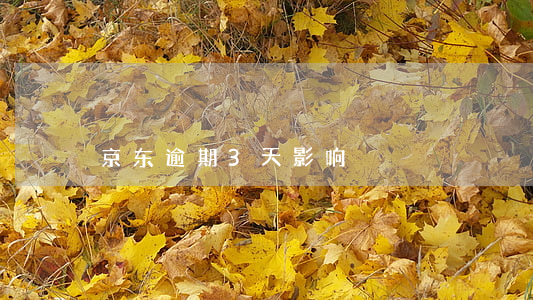 京东逾期3天影响