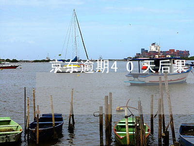 京东逾期40天后果