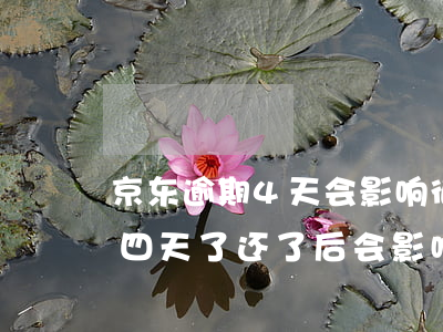 京东逾期4天会影响征信吗-京东白条逾期四天了,还了后会影响征信吗