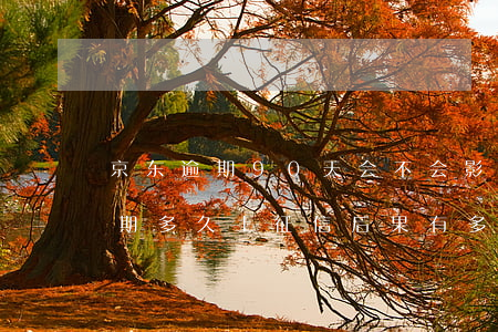 京东逾期90天会不会影响征信(京东金融逾期多久上征信后果有多严重)