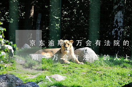 京东逾期一万会有法院的人上门吗-京东逾期一万会有法院的人上门吗?