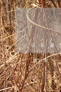 京东逾期一万多会上门吗 京东金融欠两千多逾期一年多会被上门吗