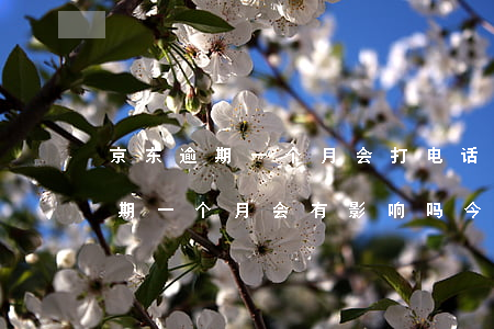 京东逾期一个月会打电话给家里吗-京东逾期一个月会有影响吗?今后还能用吗?