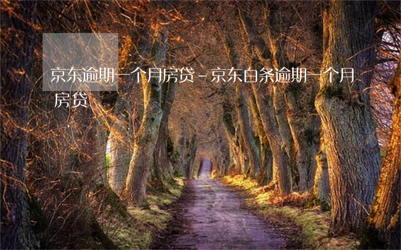 京东逾期一个月房贷-京东白条逾期一个月 房贷