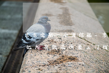 京东逾期一个月结账-京东逾期两个月,要我把所有款还清,要上门找我