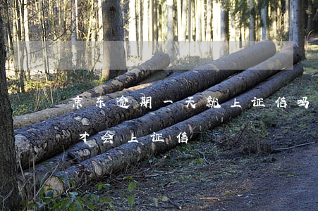 京东逾期一天就上证信吗(京东白条违约多久才会上证信)