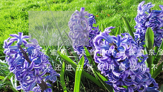 京东逾期一天就借不到钱(京东金融借款逾期一天还进去 然后再借就借不出吗)