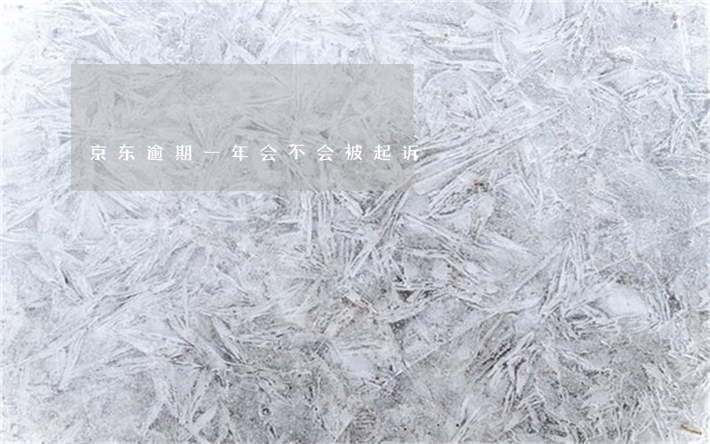 京东逾期一年会不会被起诉