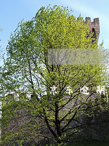 京东逾期一年未还款