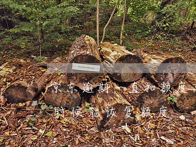 京东逾期一直扣额度(京东逾期1天,己还,什么时候能恢复额度)