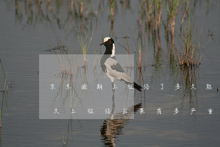 京东逾期上征信了多久能用 京东借款逾期多久上征信?后果有多严重?