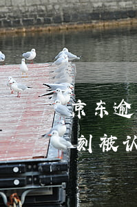 京东逾期上征信时间-京东如果逾期了会立刻被认为失信吗?