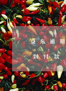京东逾期不支持货到付款(京东逾期不支持货到付款)